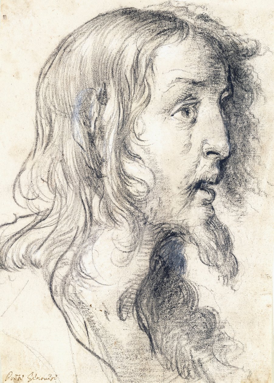 Głowa Chrystusa z profilu po prawej stronie, autorstwa Bernardo Strozzi