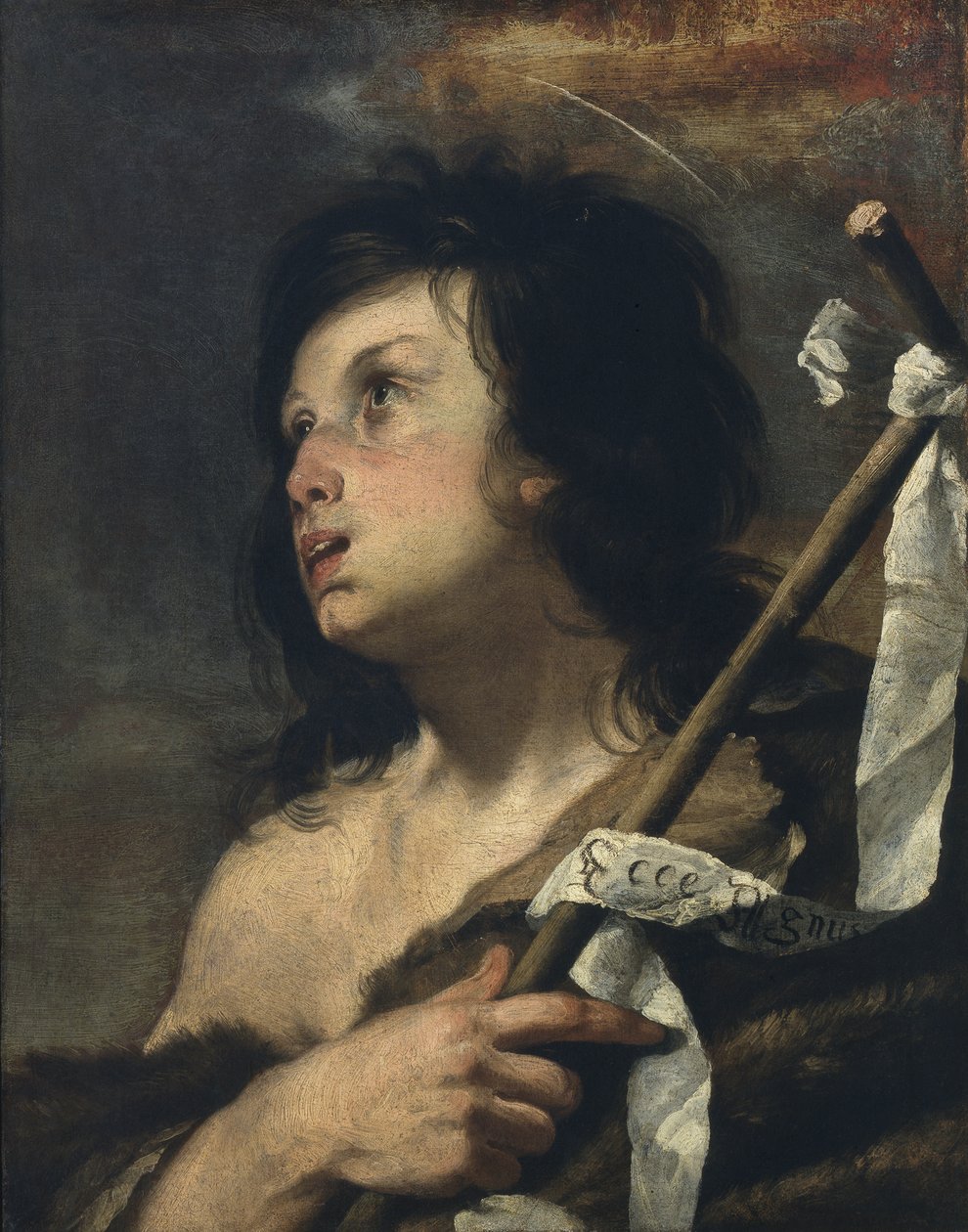 Młody św. Jan Chrzciciel autorstwa Bernardo Strozzi