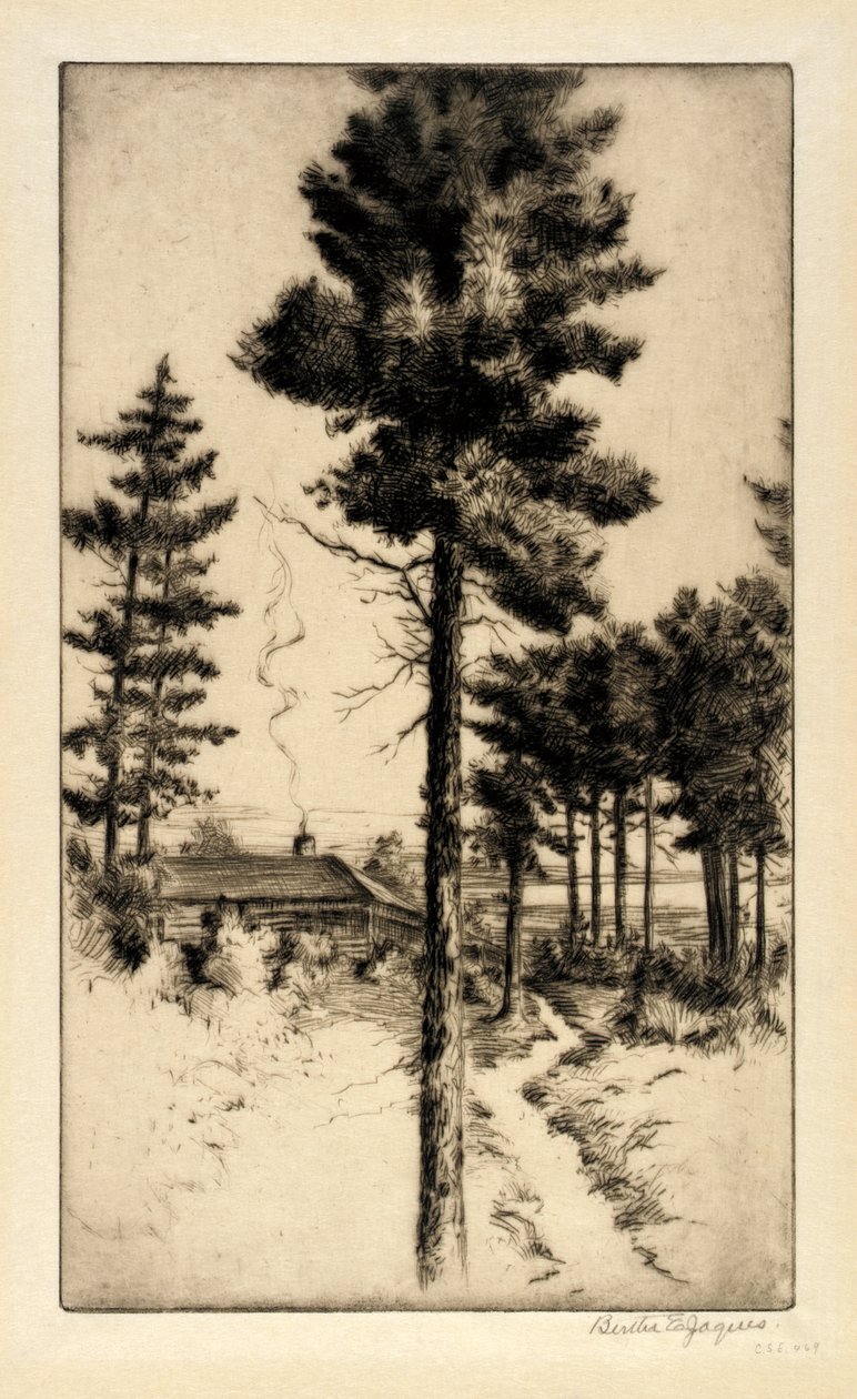 Domek w dziczy autorstwa Bertha E. Jaques