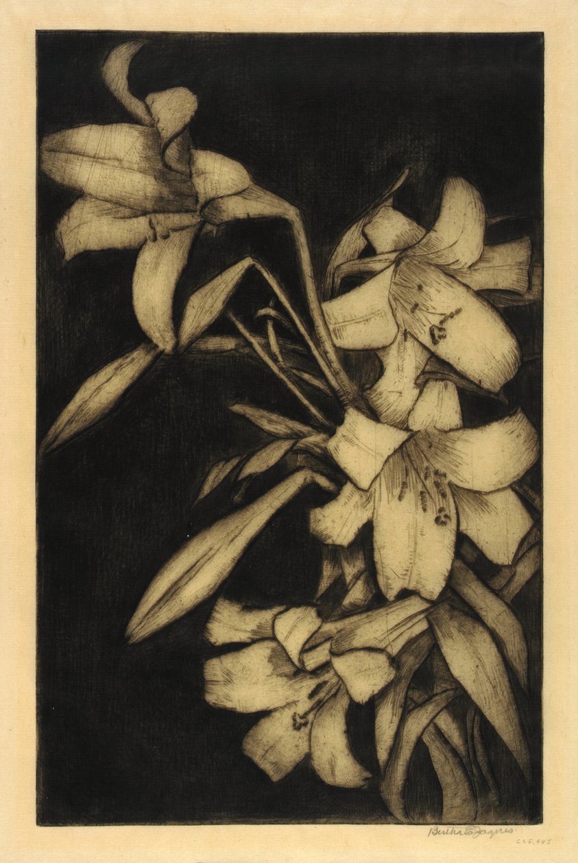 Wielkanoc lub Madonna, Lilie autorstwa Bertha E. Jaques