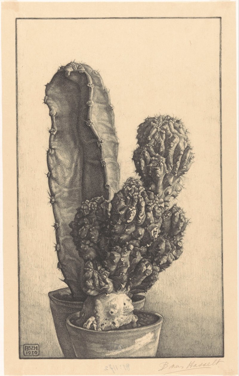 Caktussen (tytuł oryginalny) autorstwa Bertha van Hasselt (signed by artist)