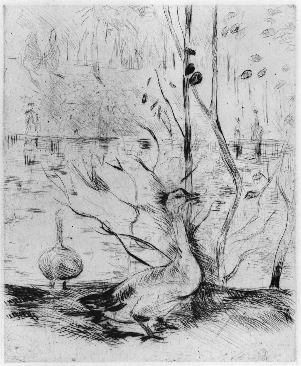 Gęś, 1889 (sucha igła) autorstwa Berthe Morisot