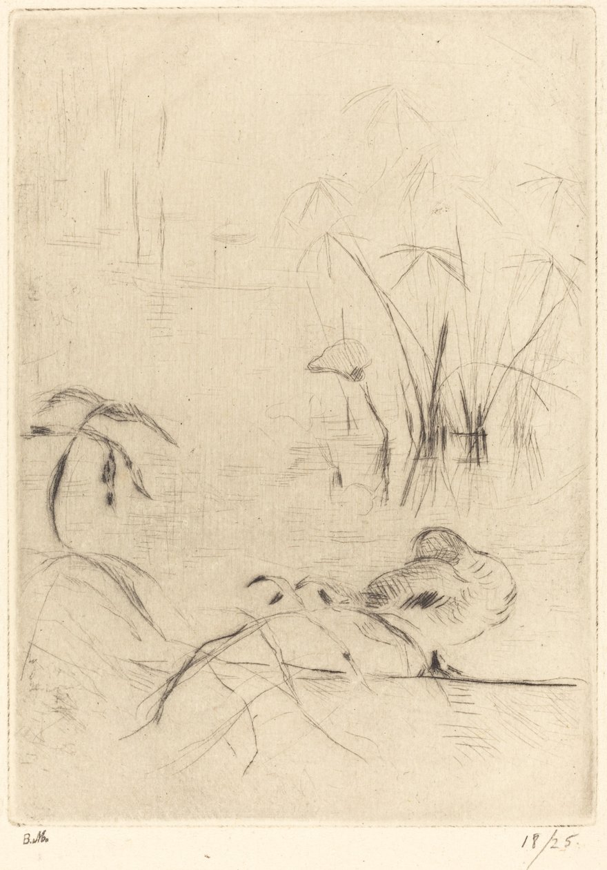 Kaczki w spoczynku na brzegu autorstwa Berthe Morisot