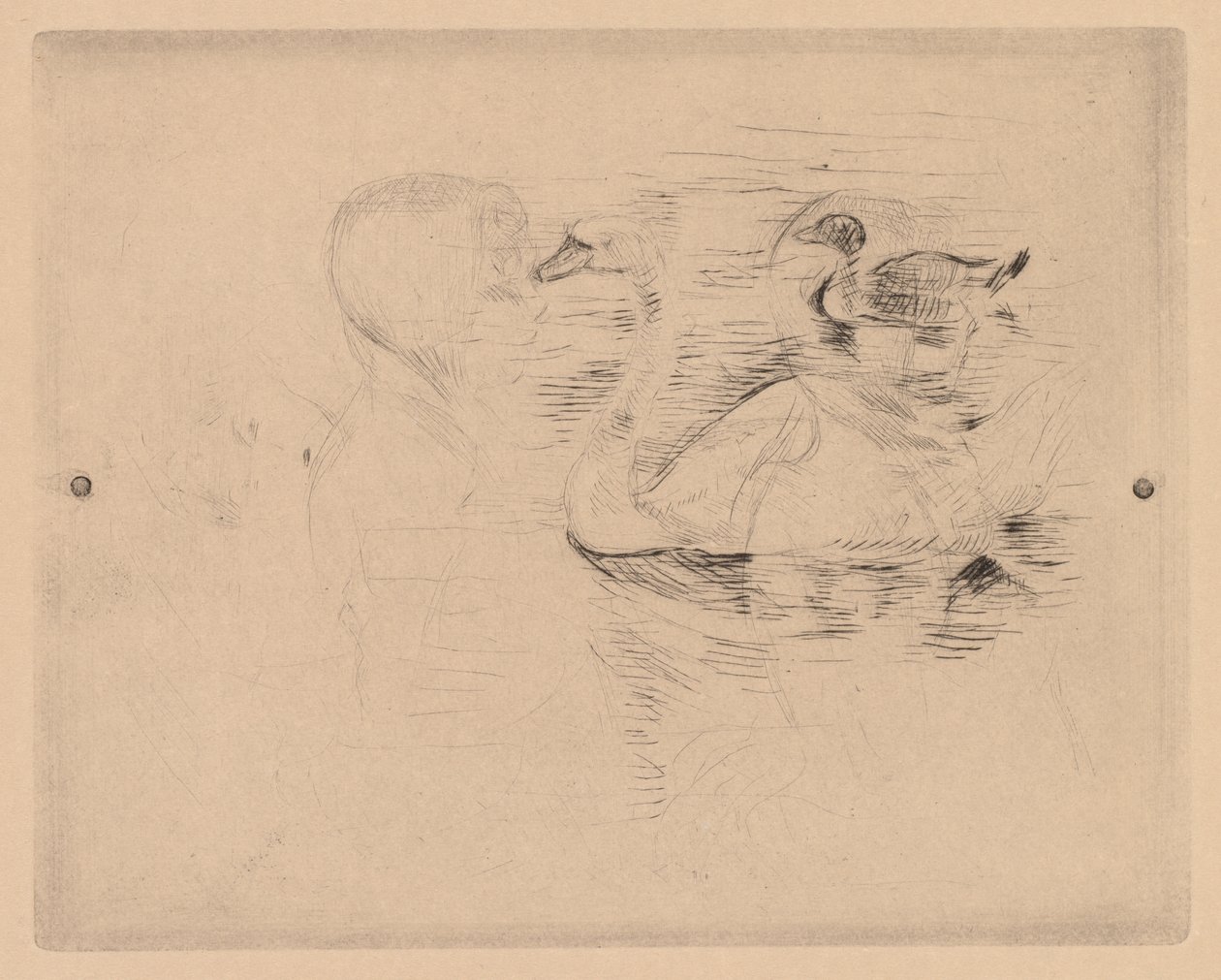 Łabędź i Kaczka z portretami Julie autorstwa Berthe Morisot