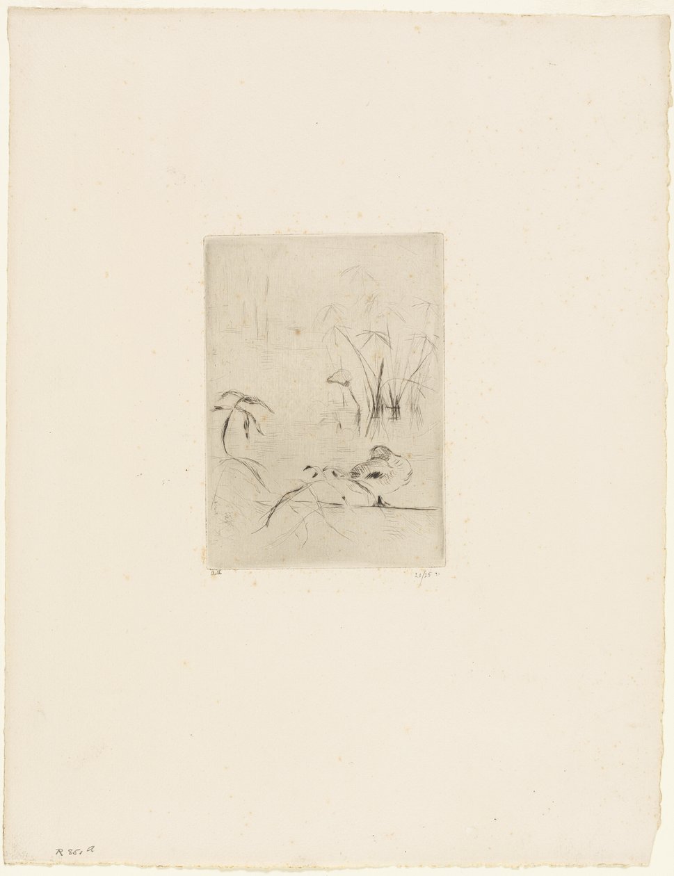 Kaczka autorstwa Berthe Morisot