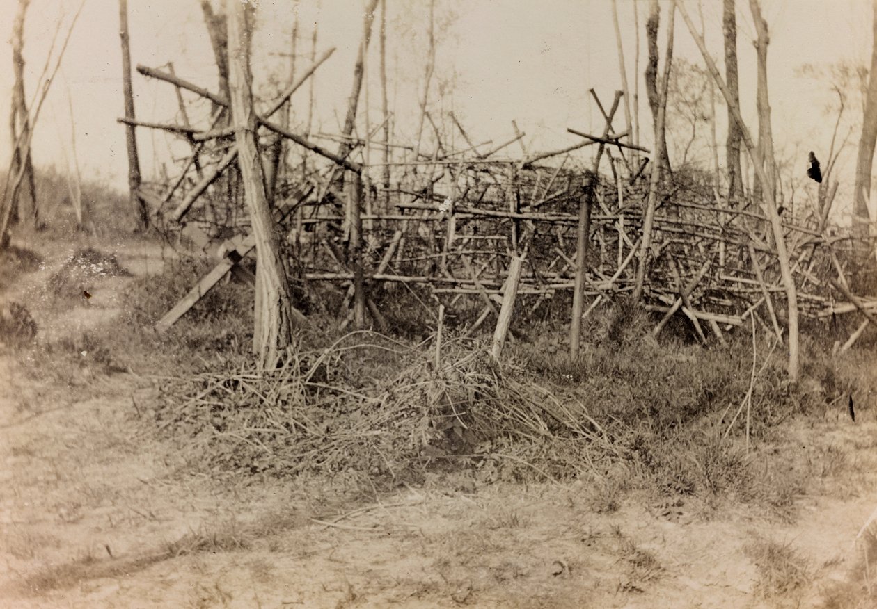 Album I wojny światowej we Friuli-Wenecji Julijskiej: przeszkoda obronna (konie fryzyjskie), 05/1916 (zdjęcie b / w) autorstwa Bertoni Bertoni
