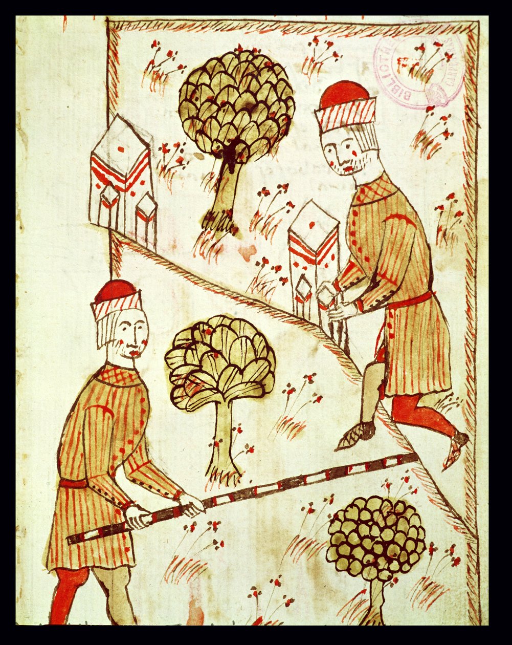 Ms 327 fol. autorstwa Bertrand Boysset