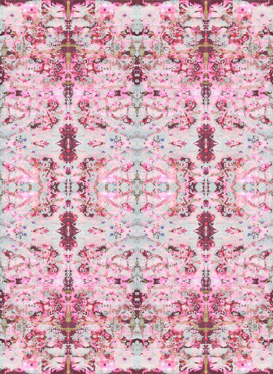 Burgandy Rose, 2015 (mixed media, ilustracja, digital) autorstwa Beth Travers