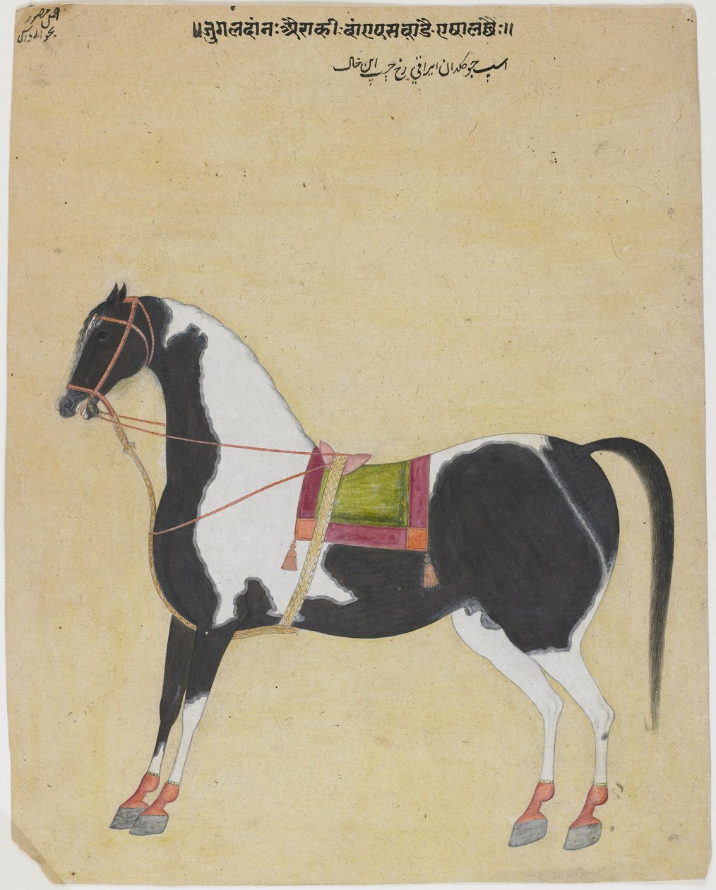 Ogier Jukaldan Ayragi, ok. 1730 (nieprzezroczysta toaleta na papierze) autorstwa Bhavani Das