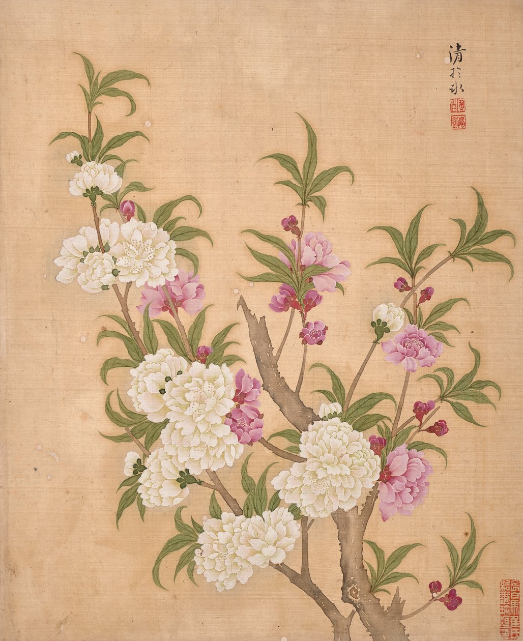  autorstwa Bing Yun