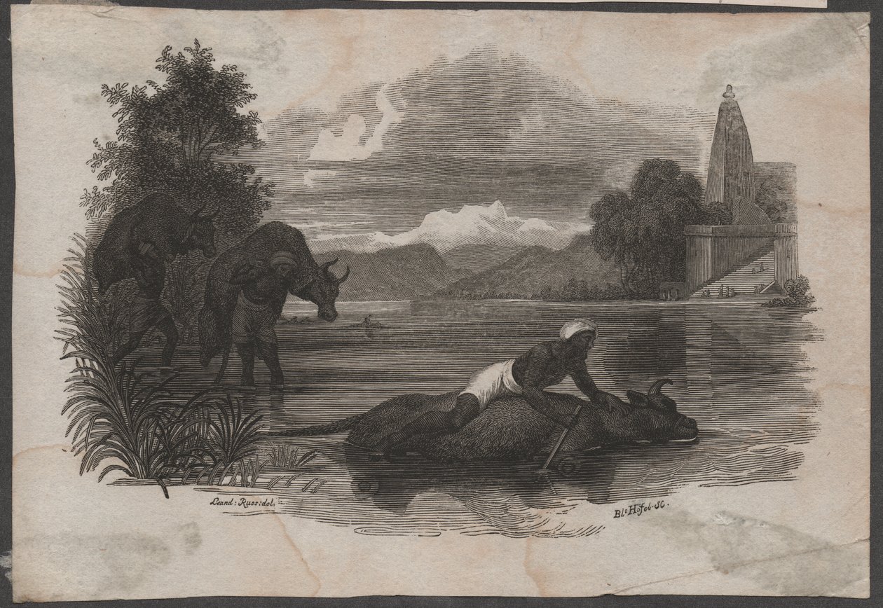 Rolnicy niosący martwe bydło, ok. 1850 r. (rycina) autorstwa Blasius Höfel