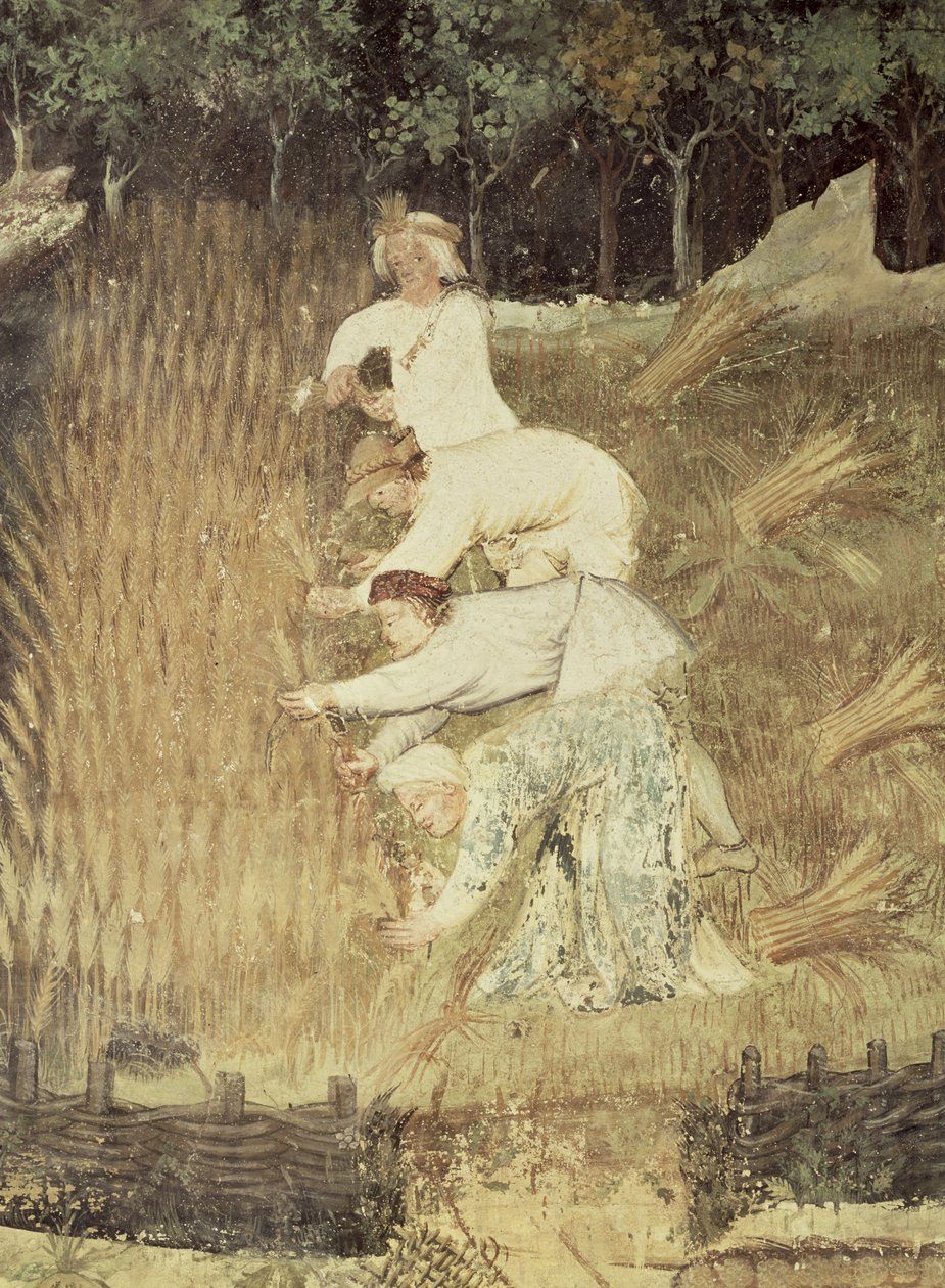 Miesiąc sierpień, szczegóły zbiorów, ok. 1400 autorstwa Bohemian School