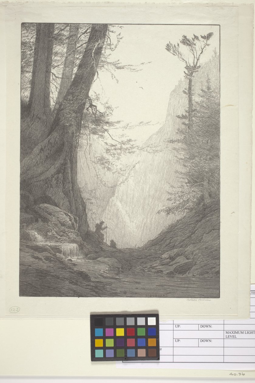 Wielkie Cedry (atrament na papierze, litografia) autorstwa Bolton Coit Brown