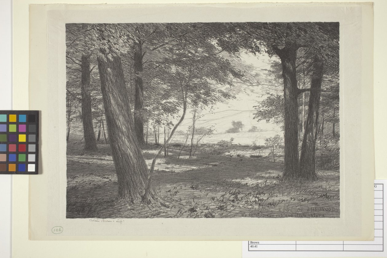Skraj lasu (tusz na papierze) autorstwa Bolton Coit Brown