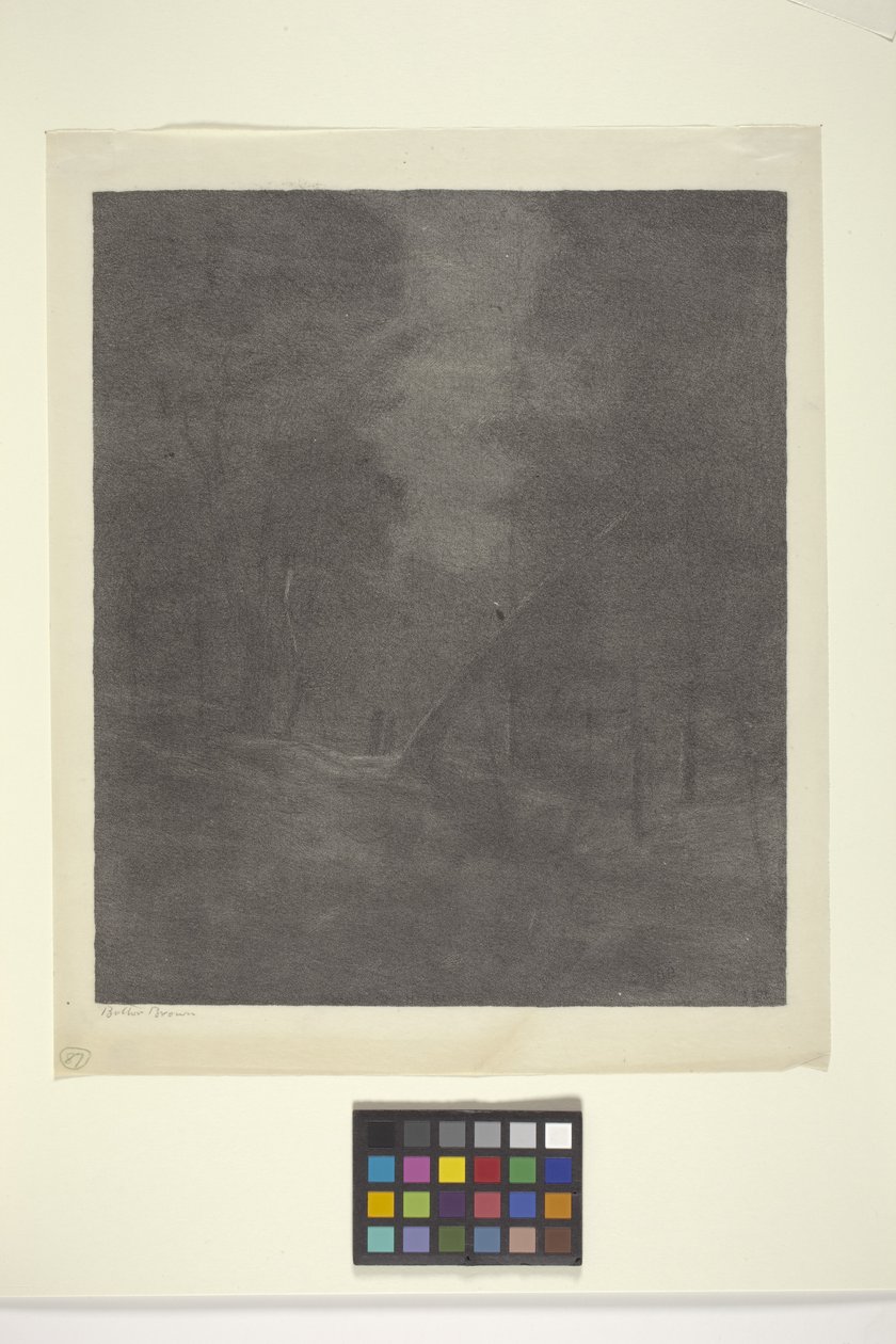 Moonlight Woods (tusz na papierze) autorstwa Bolton Coit Brown