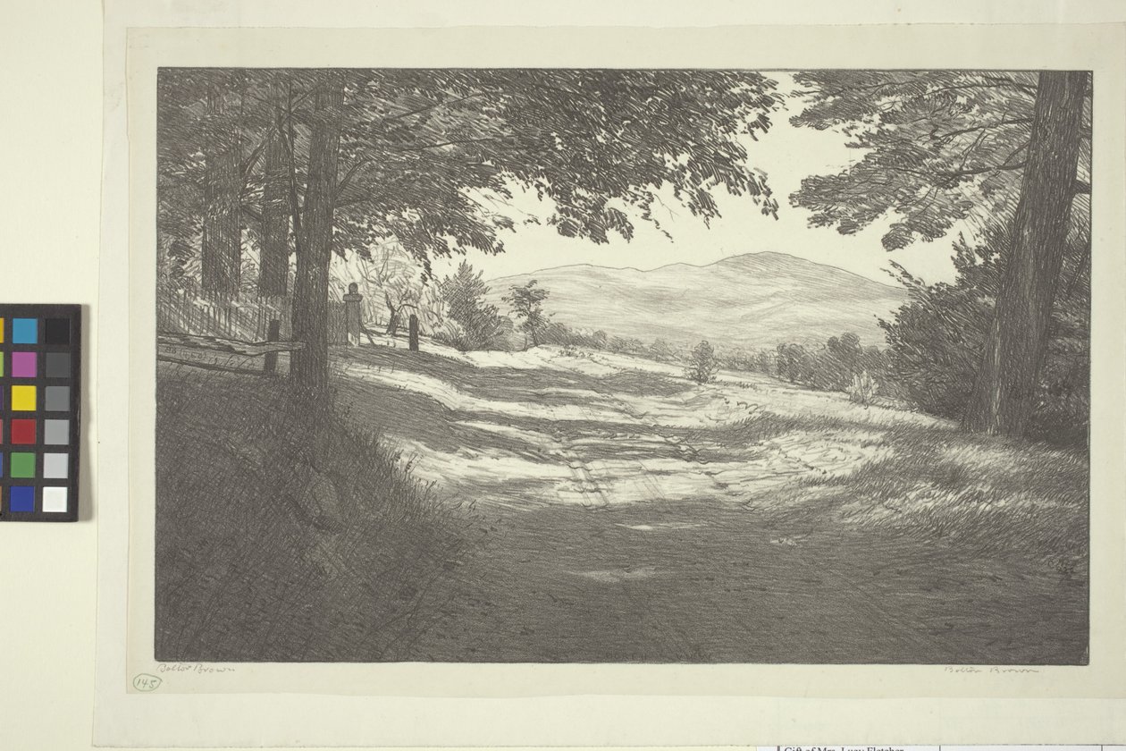 North View (atrament na papierze) autorstwa Bolton Coit Brown