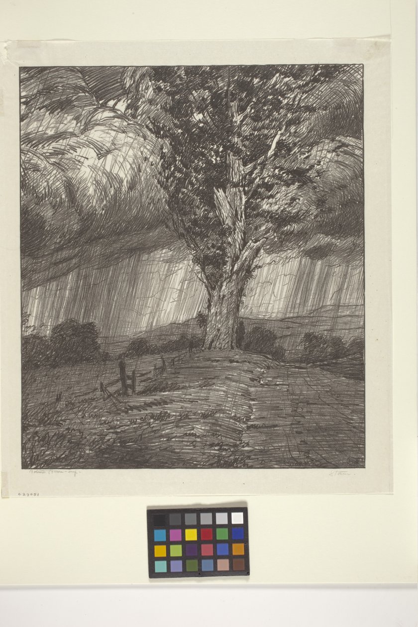 Burza (tusz na papierze) autorstwa Bolton Coit Brown