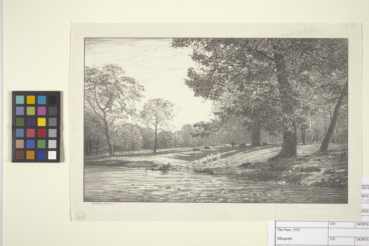 Mieszkania (atrament na papierze) autorstwa Bolton Coit Brown