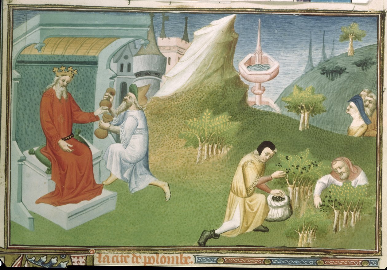 Pani Fr 2810 f.186, Zbiór papryki i ofiarowanie owoców królowi, z „Livre des Merveilles du Monde”, c.1410-12 (tempera on vellum) autorstwa Boucicaut Master