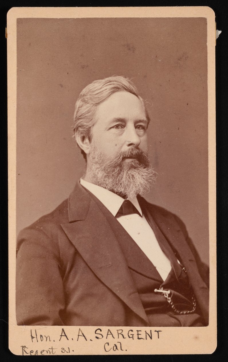 Portret Aarona Augusta Sargenta 1827-1887, przed 1881 r. autorstwa Brady