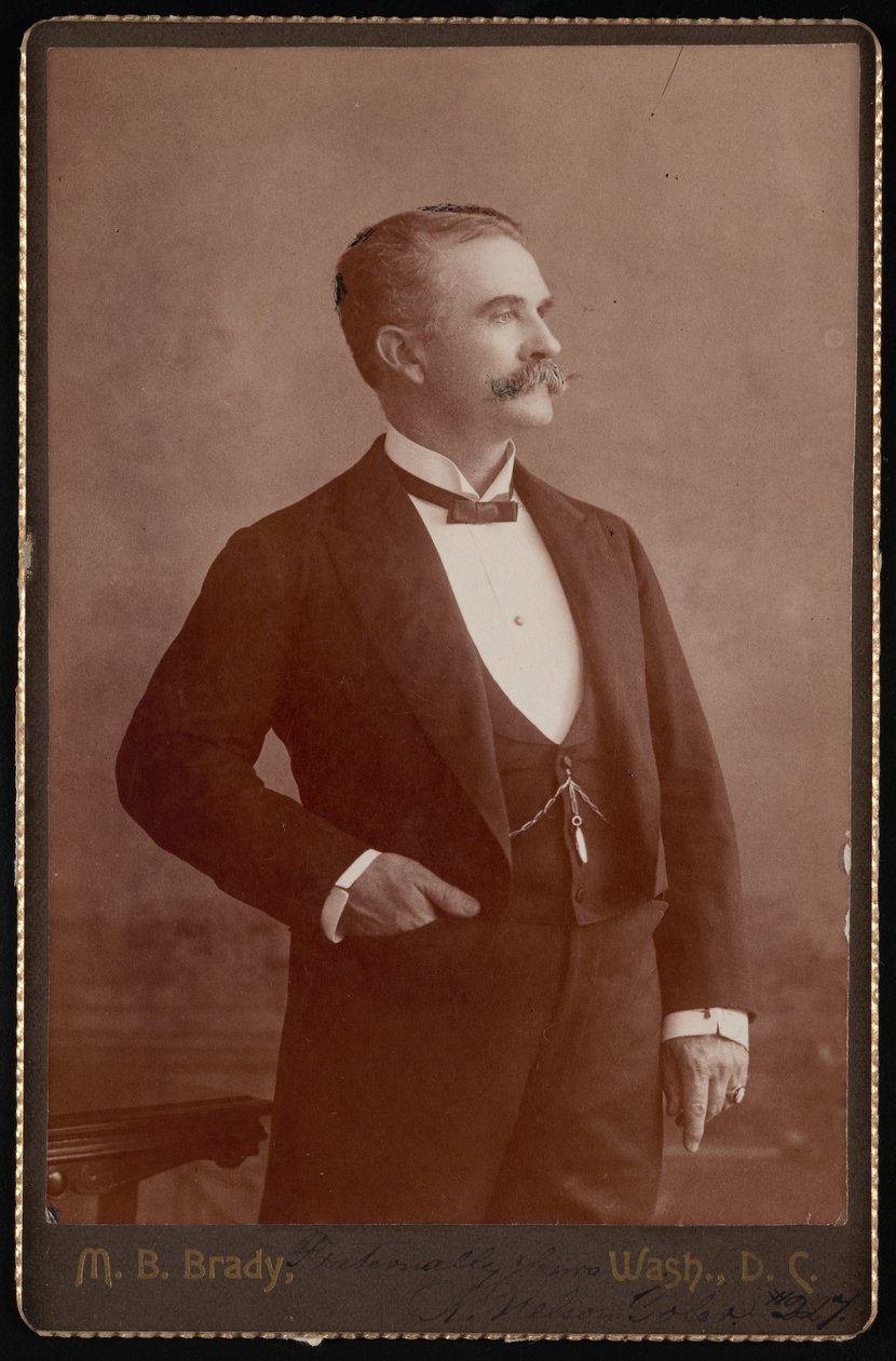 Portret W. Nelsona Tolera, w latach 1890-1893. autorstwa Brady