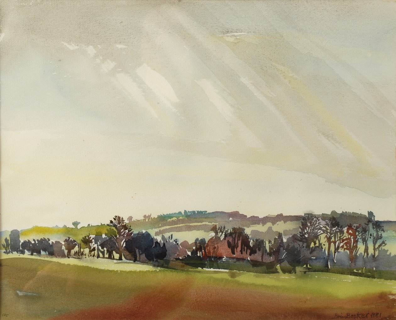 Krajobraz poranny, 1981 (wc na papierze) autorstwa Brenda Brin Booker