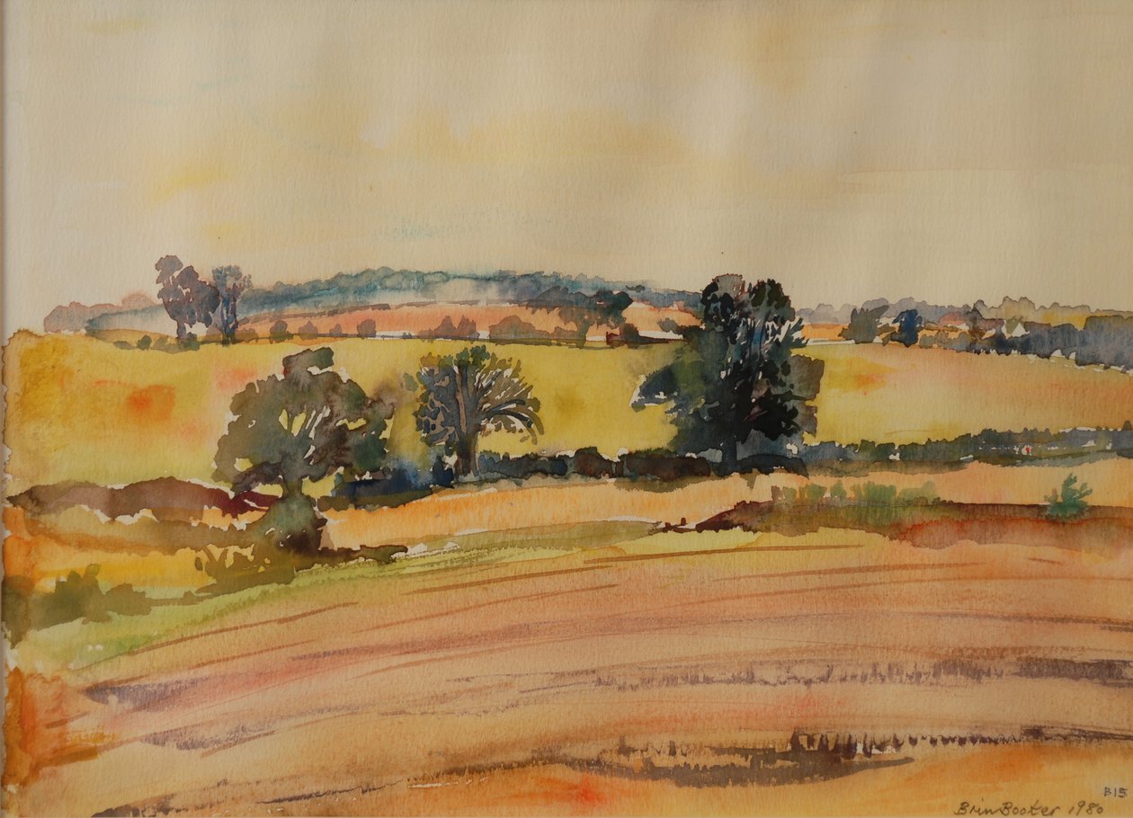 Krajobraz Suffolk, 1980 (wc na papierze) autorstwa Brenda Brin Booker