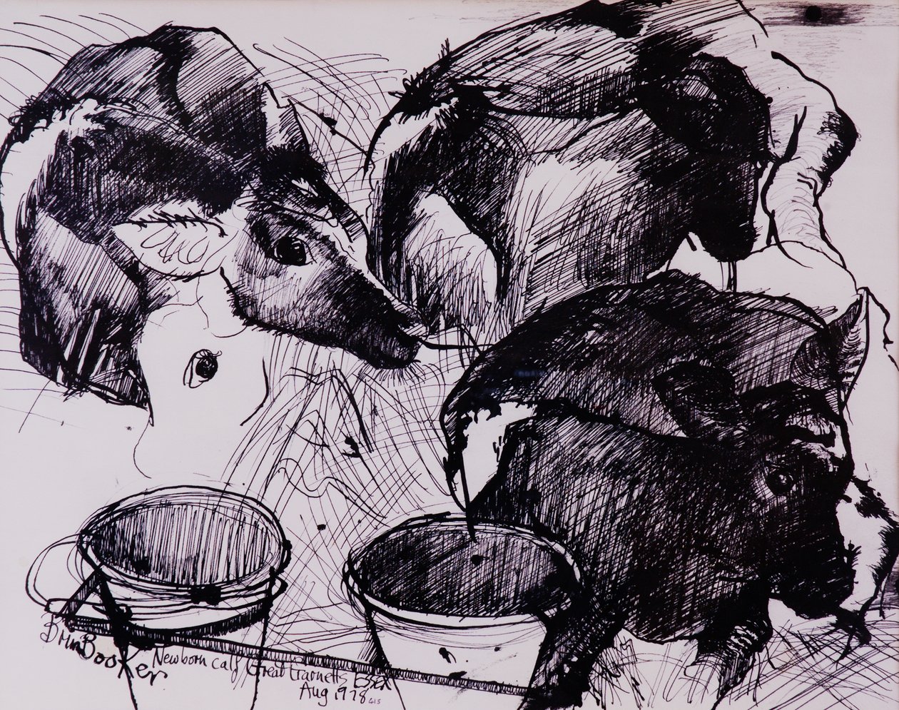 Cielęta, wilgotne, noworodek, 1978 autorstwa Brenda Brin Booker