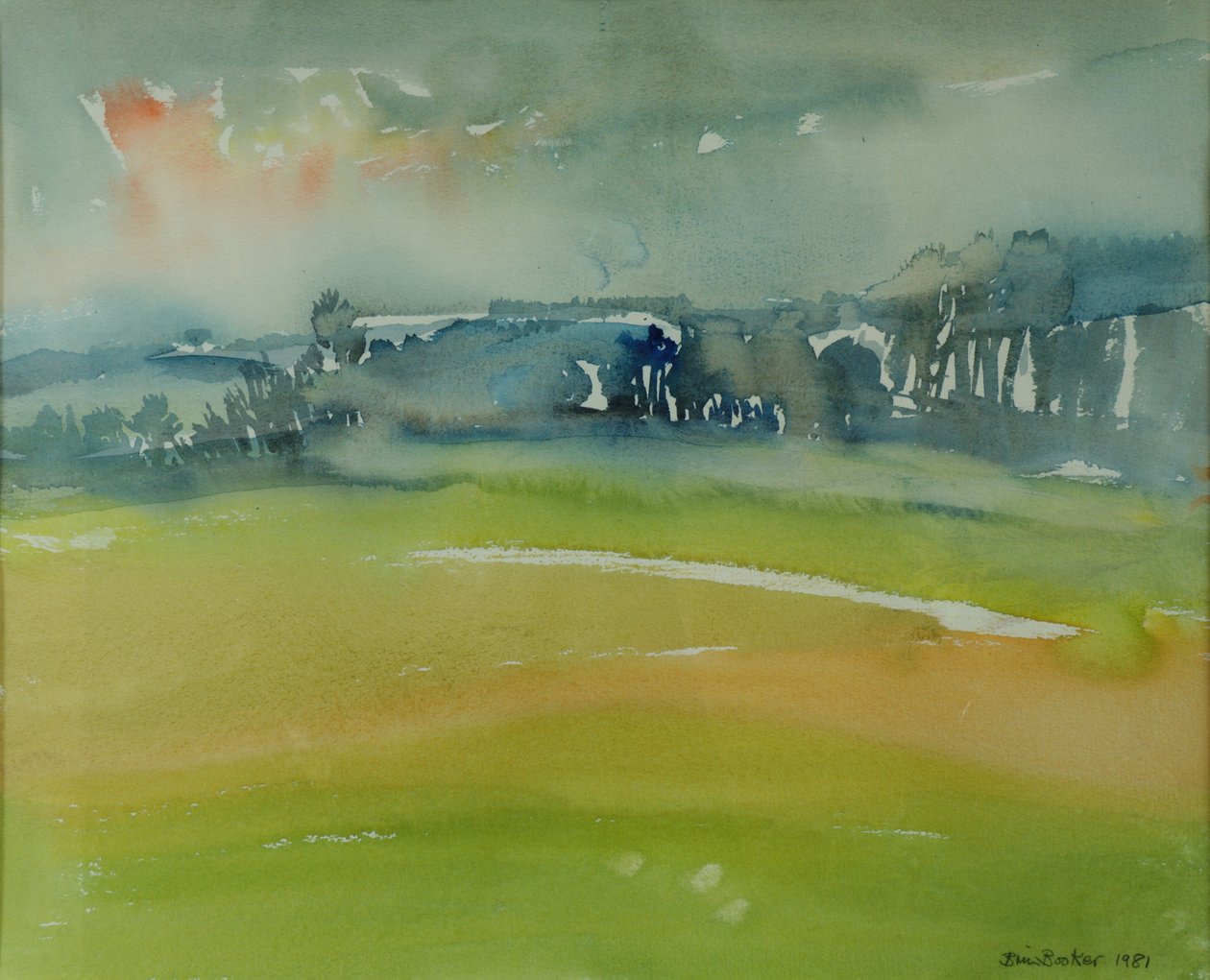 Mglisty poranek, 1981 (wc na papierze) autorstwa Brenda Brin Booker