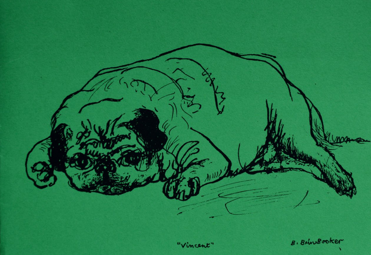 „Vincent” (tusz na zielonym papierze) autorstwa Brenda Brin Booker