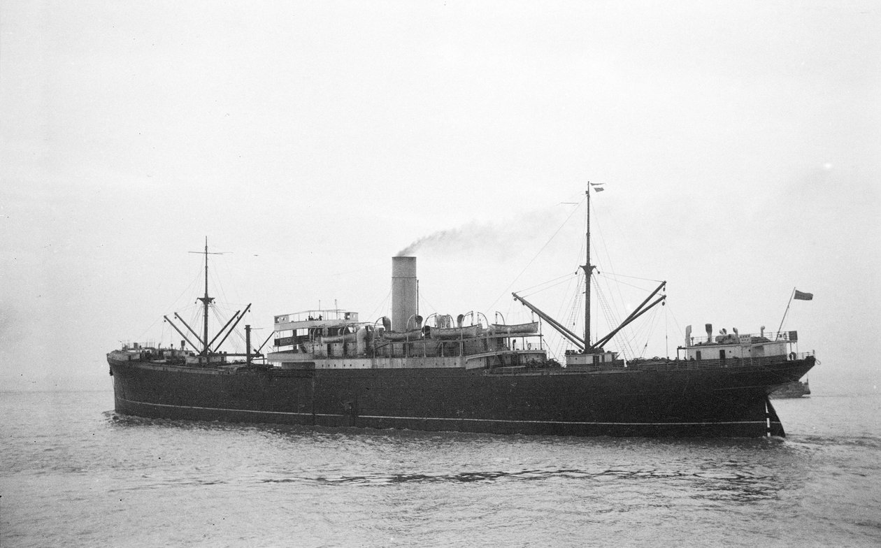 Opawa (1906) w drodze do Avonmouth autorstwa Brigadier L. R. E. Fayle