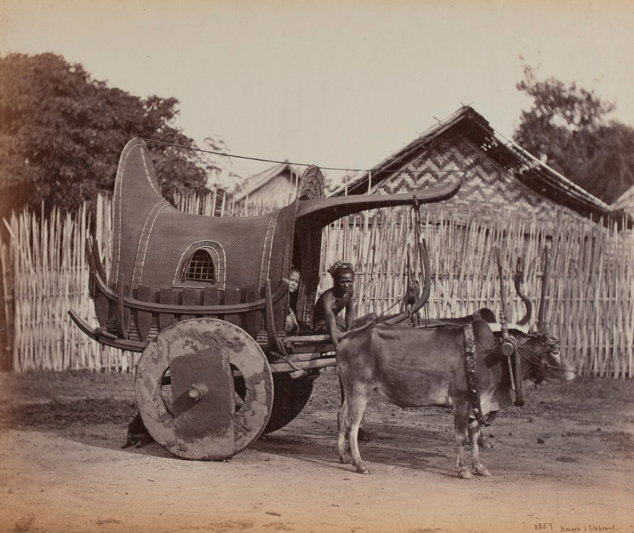 Wóz wiejski, Birma (1886-88) autorstwa British Photographer