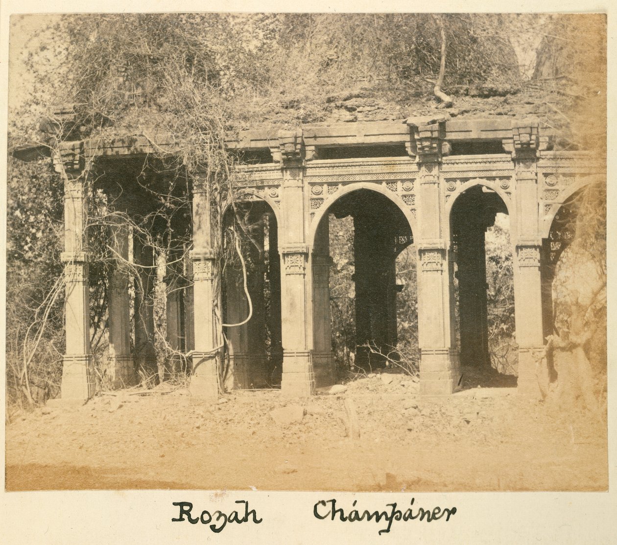 Rozah, Champaner, ok. 1875 (zdjęcie czarno-białe) autorstwa British Photographer
