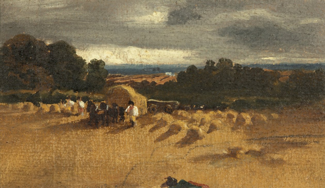 Scena zbiorów (olej na papierze) autorstwa British School