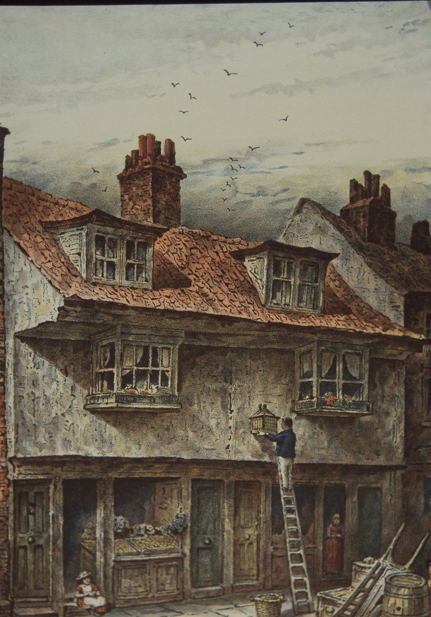 Domy na Saffron Hill, Londyn, między Holborn i Clerkenwell, c.1883 (kolor lito) autorstwa British School