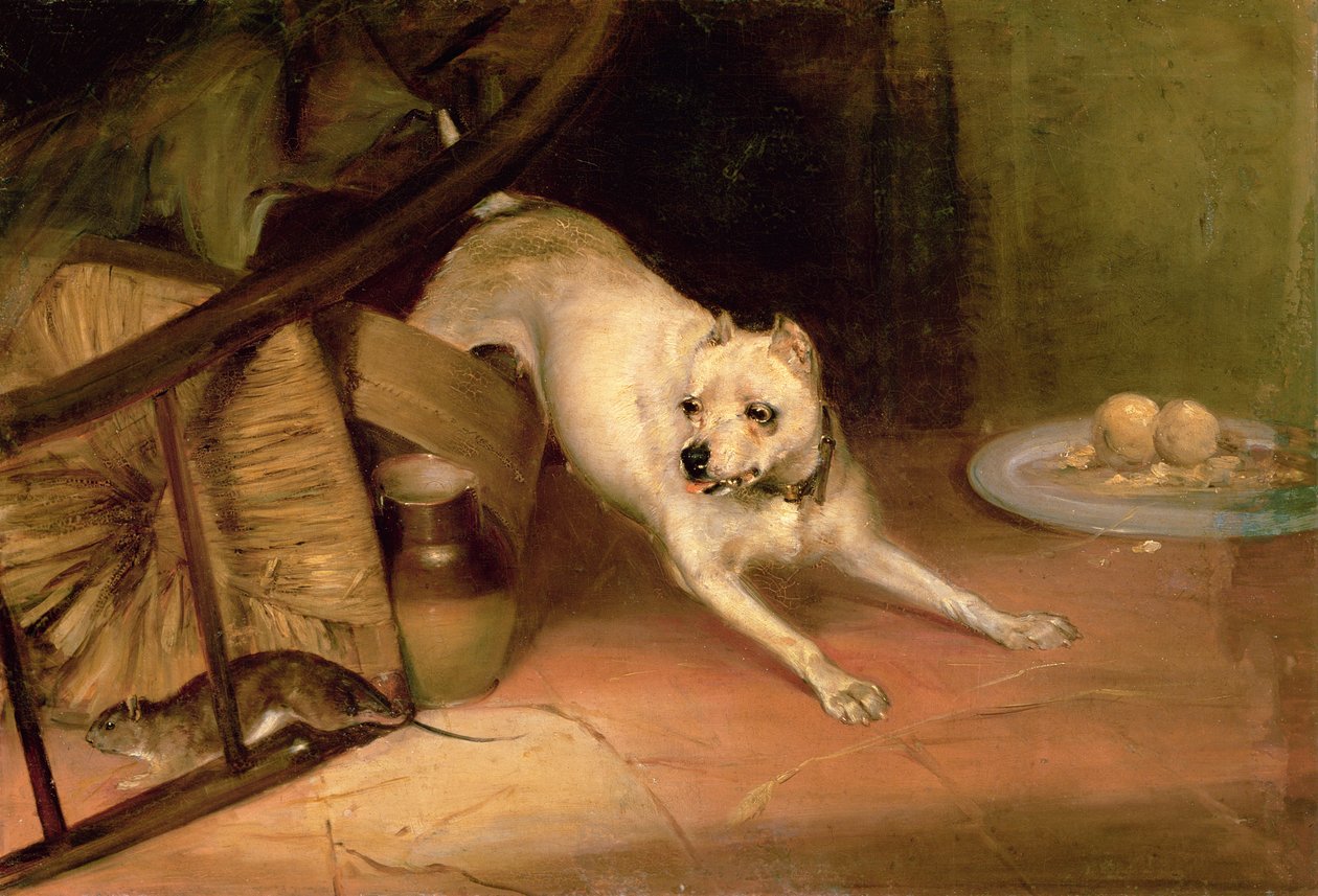 Pies goni szczura autorstwa Briton Riviere