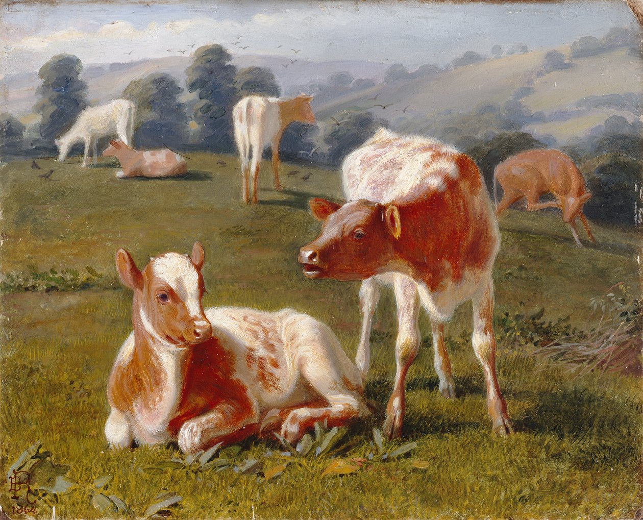 Cielęta na łące (olej na desce młyńskiej) autorstwa Briton Riviere