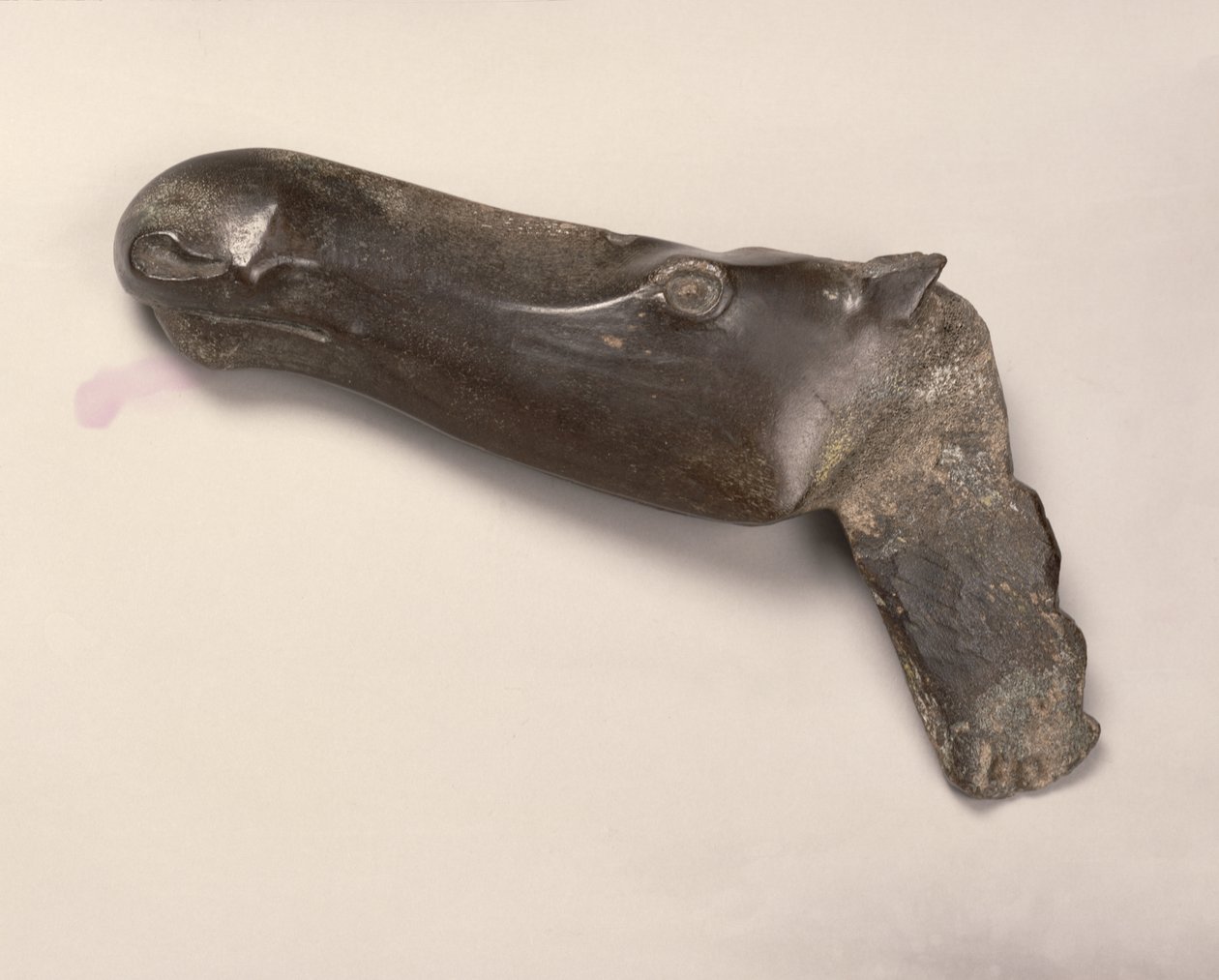 Głowa samicy łosia z Jekaterynburga na Uralu, 2000 pne (róg) autorstwa Bronze Age