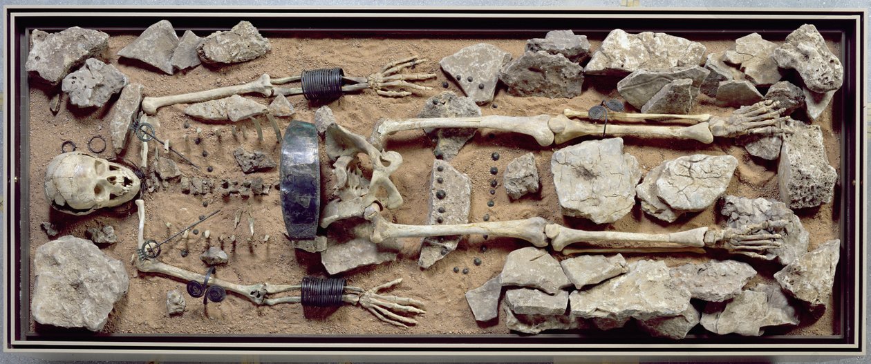 Bogato obdarowany grób kobiecy z Molzbach bei Huenfeld autorstwa Bronze Age