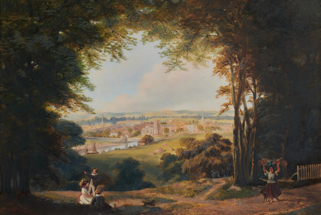 Winieta Widok Maidstone od strony południowej autorstwa Brothers Alfred