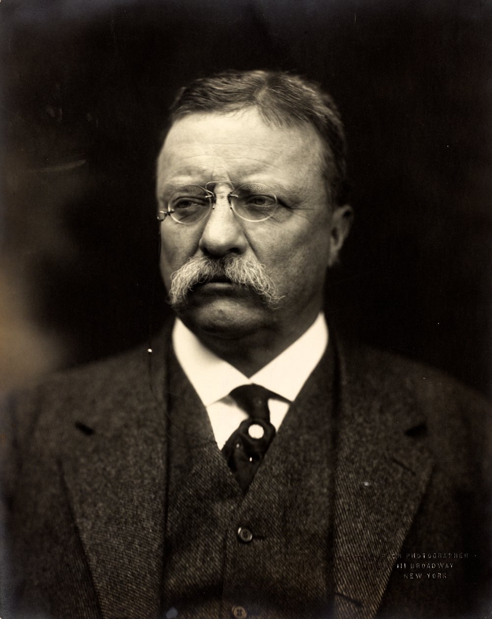 Theodore Roosevelt, ok. 1915 (zdjęcie czarno-białe) autorstwa Brothers Pach