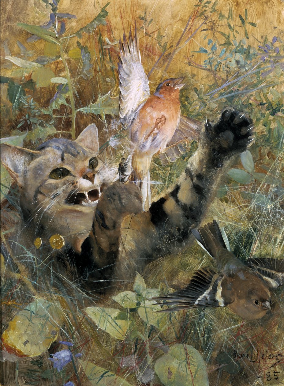 Kot i zięba, 1885 autorstwa Bruno Andreas Liljefors