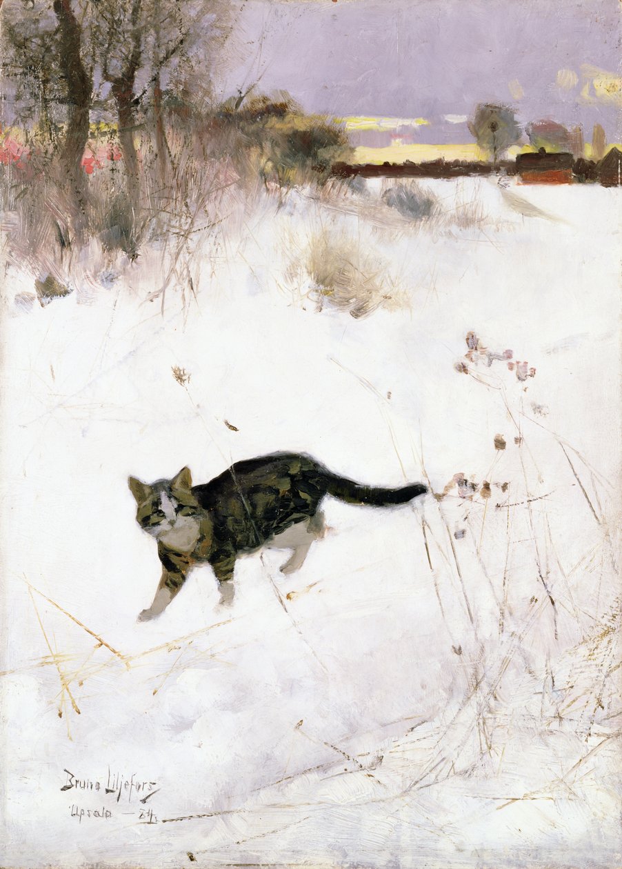 Kot spacerujący po śniegu, 1884 (panel) autorstwa Bruno Andreas Liljefors