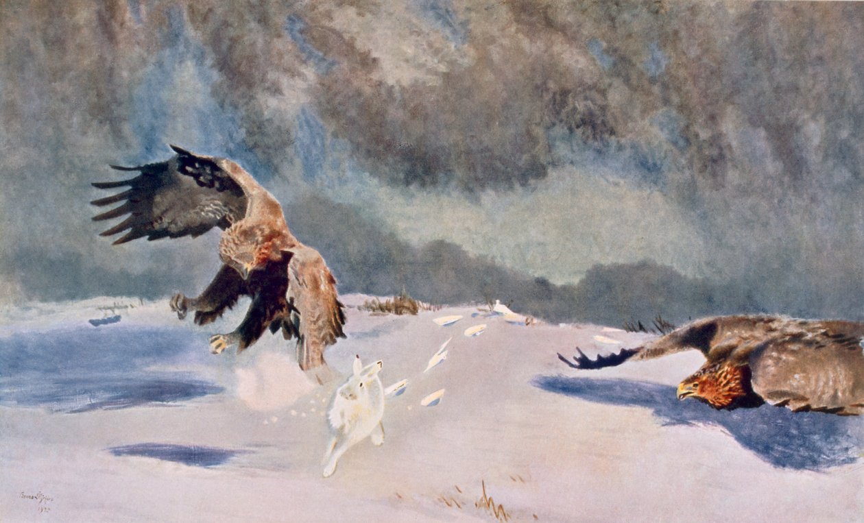 Orły i Królik, 1922 autorstwa Bruno Andreas Liljefors