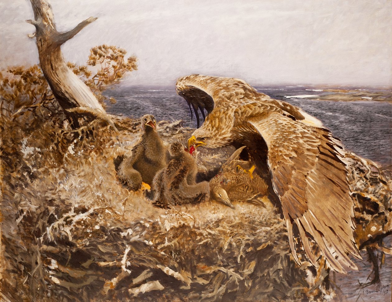 Gniazdo orła morskiego, 1907 autorstwa Bruno Andreas Liljefors