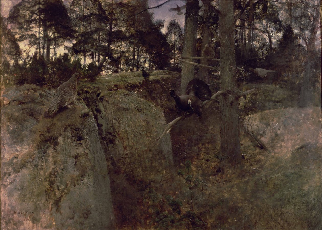 Gody głuszców, 1888 autorstwa Bruno Andreas Liljefors