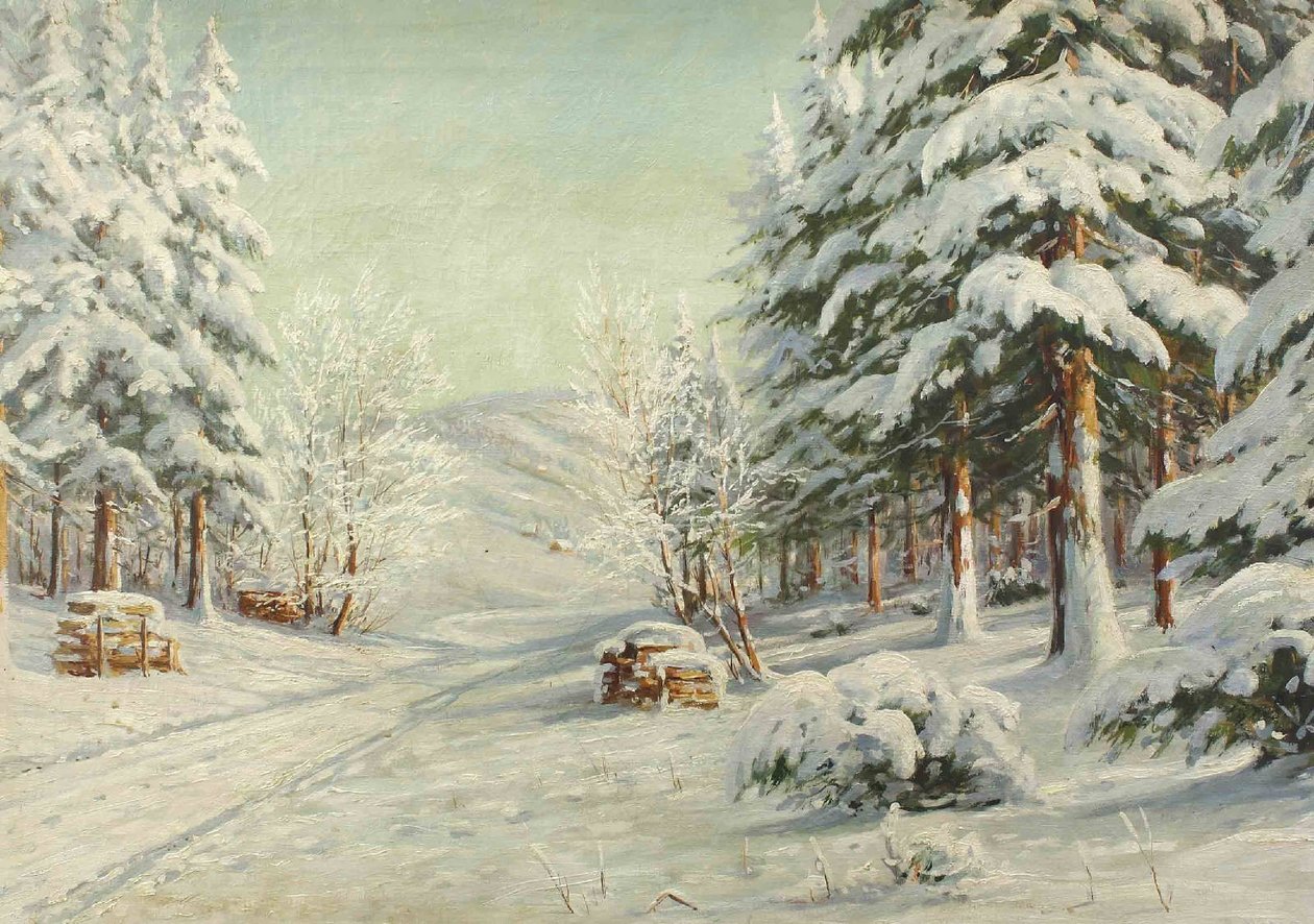 Krajobraz zimowy autorstwa Bruno Moras