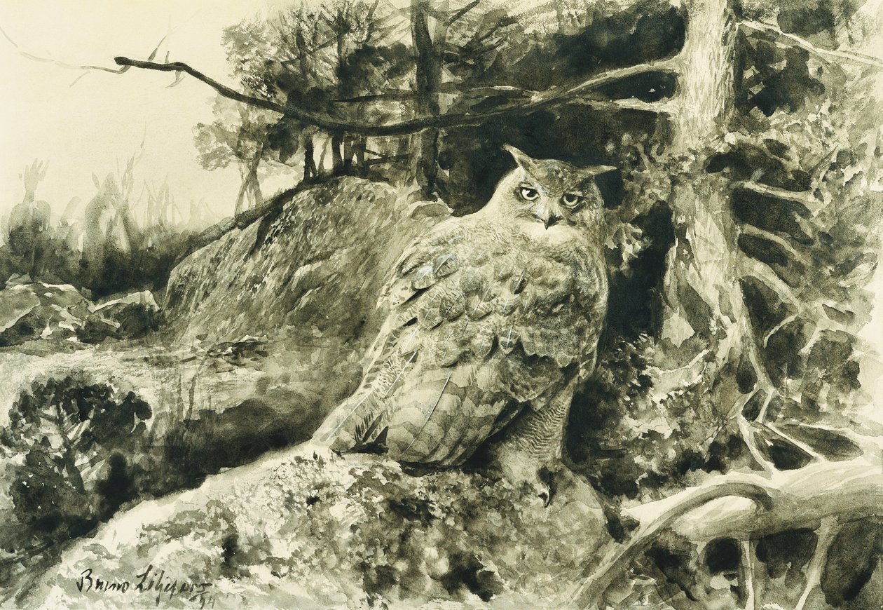 Berguv (puchacz) Bubo Bubo autorstwa Bruno Andreas Liljefors