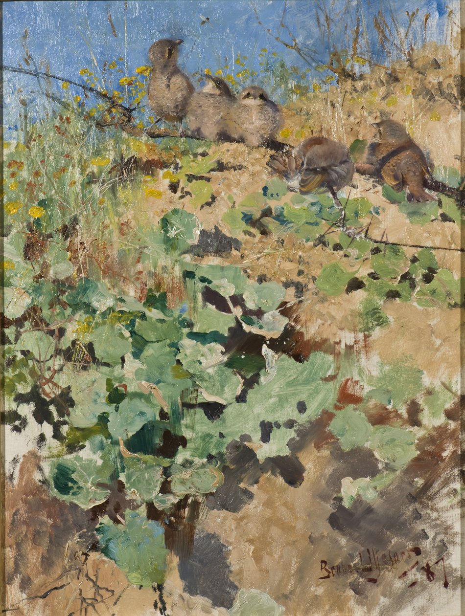 Pisklęta dzierzby gąsiorek, 1887 autorstwa Bruno Andreas Liljefors