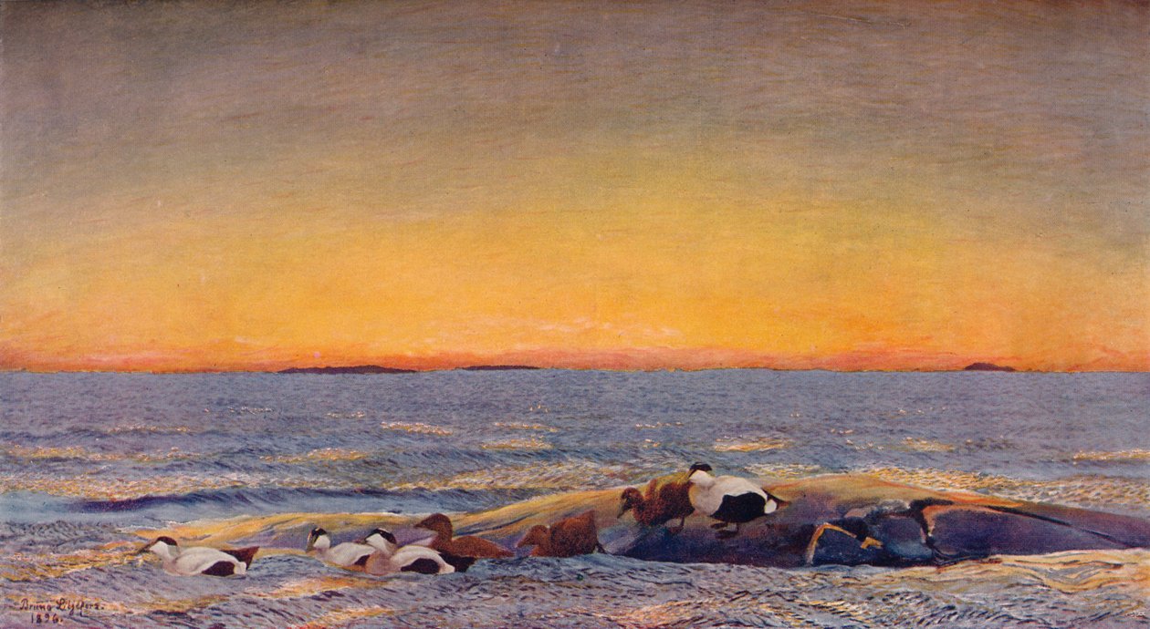 Wschód słońca, 1896 autorstwa Bruno Andreas Liljefors